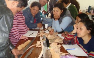  Foto: Fundacion proteger