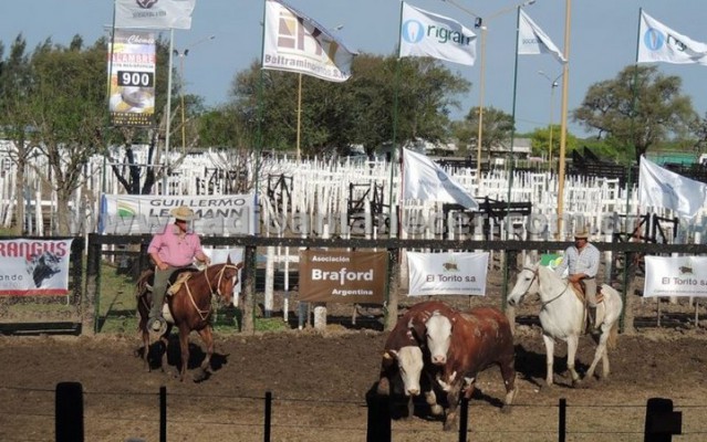 Anunciaron la realización de la Expovera