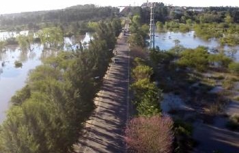 EL REY PODRIA DESBORDARSE EN LAS PRÓXIMAS HORAS