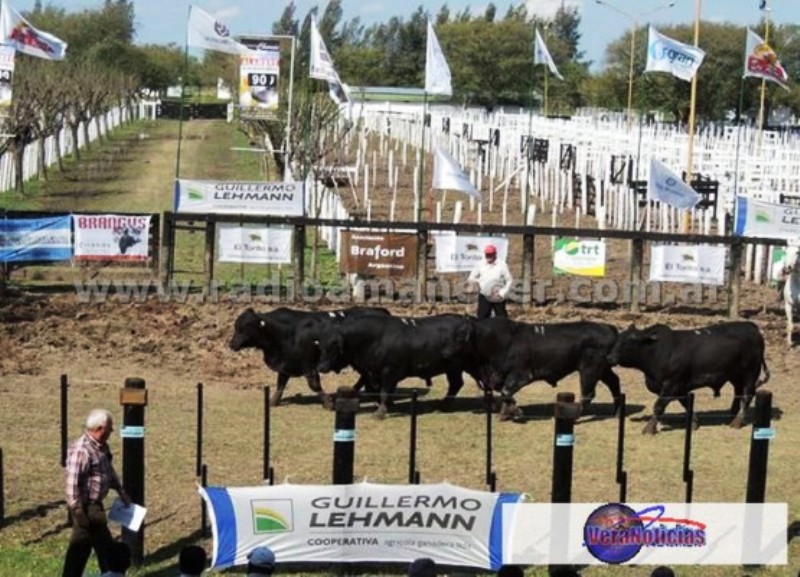 Vera se prepara para una nueva edición de la Expo Rural