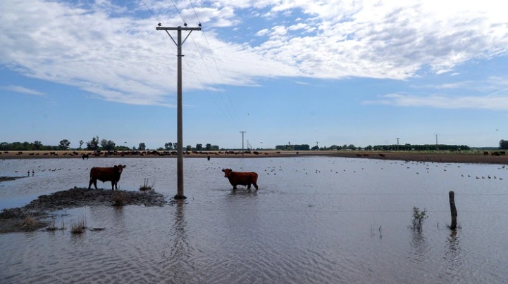 hay 1.700.000 hectáreas afectadas por las inundaciones en Santa Fe. REUTERS/Marcos Brindicci