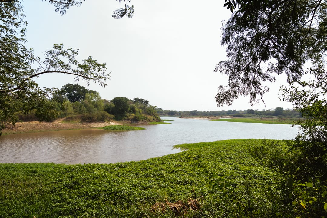 Diputada María Laura Corgniali 7