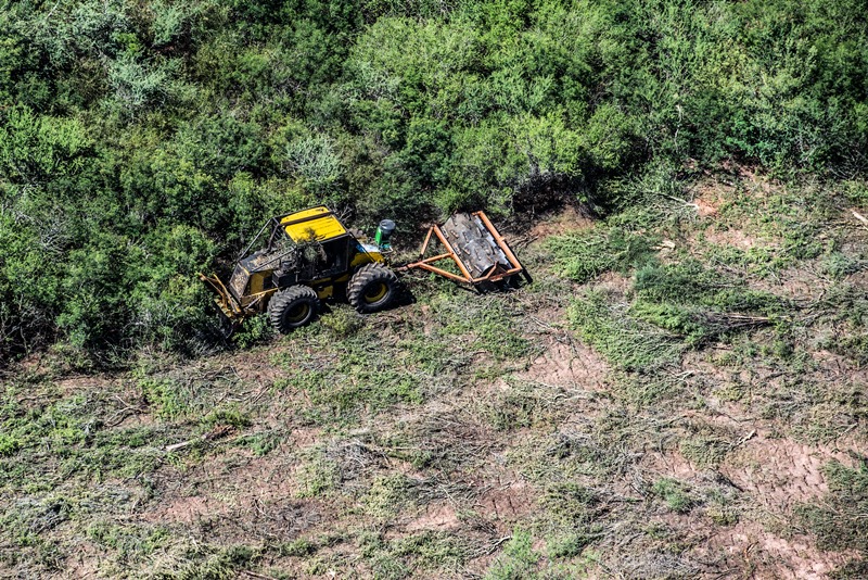 Informe de Greenpeace revela que durante el 2021 casi la mitad de la deforestación del Norte Argentino se produjo en Santiago del Estero, y más del 80 por ciento fue ilegal. En Chaco las topadoras arrasaron 18 mil hectáreas, a pesar de que los desmontes están suspendidos por la justicia provincial. La organización ecologista volvió a reclamar la penalización de la destrucción de bosques.