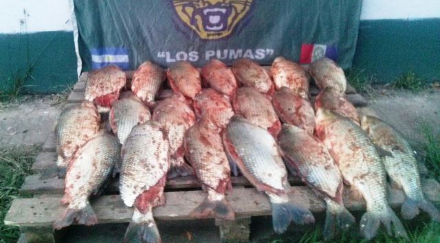 Patrullajes con secuestros varios