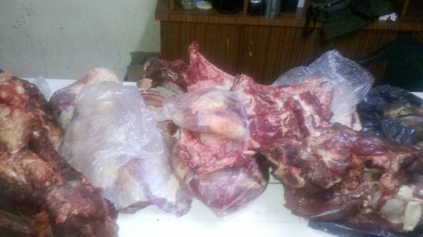 Secuestro de animales en Villa Ocampo