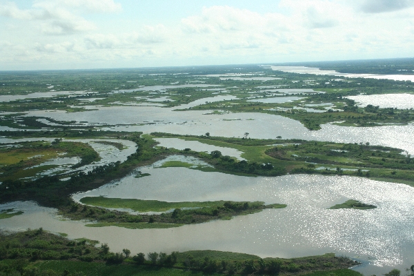 Día Mundial de los Humedales
