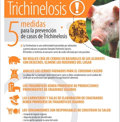 Medidas de prevención