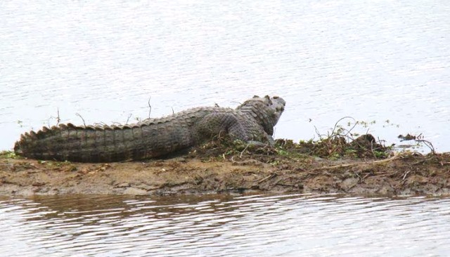 Primera Ley de Humedales en Argentina
