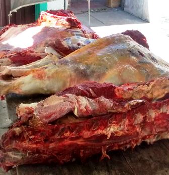 Abigeato en Villa Ana