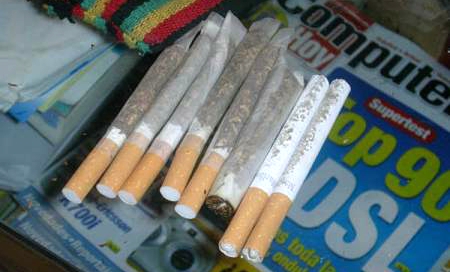 Secuestran 81 porros de marihuana