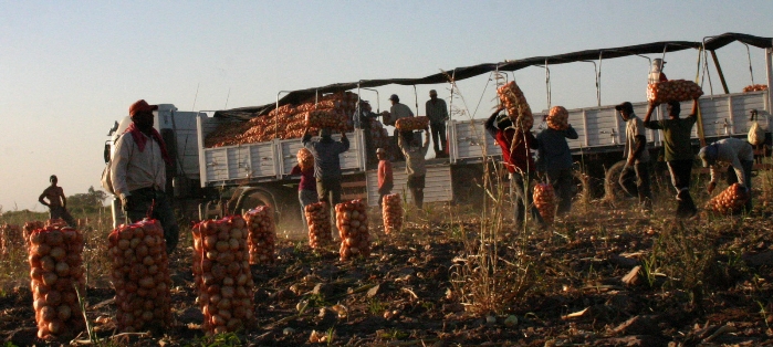 El Simbolar, la esperanza está en la tierra