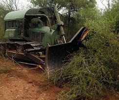 Detienen topadora que trabajaba para usurpar un predio fiscal