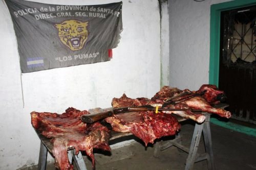 Secuestran animal carneado