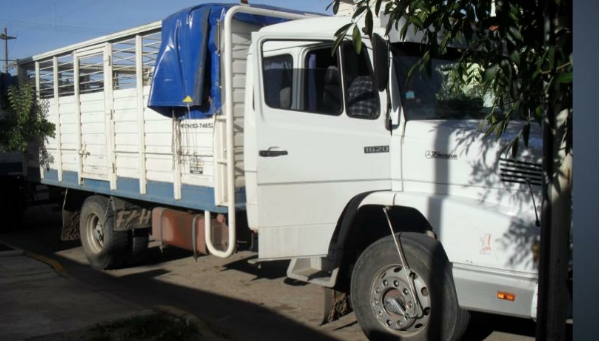 Camión con vacunos robados