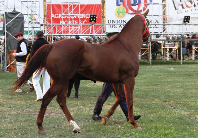Una muestra de excelencia