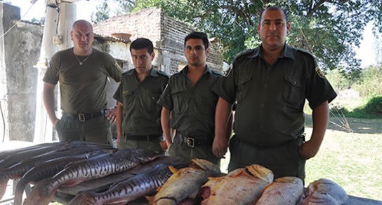 300 kilos de pescado en mal estado