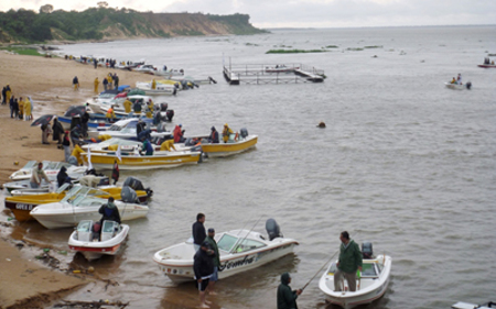 295 equipos participantes