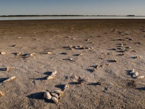 Demora la construcción del vertedero