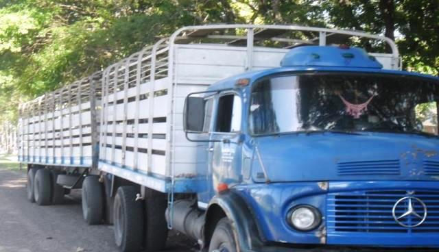 Intervino en infracciones relacionadas con animales