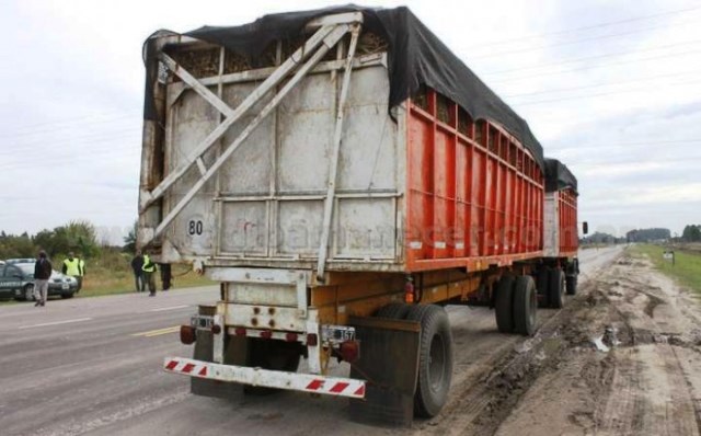 Operativos en ruta 11