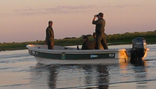 Masacre de carpinchos