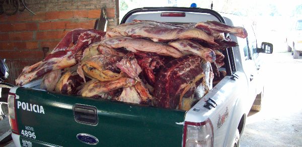 Secuestro de mil kgs de carne vacuna