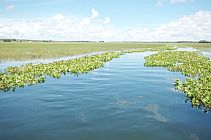 Jornadas zonales preparatorias para el Foro del Agua