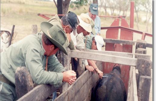 Arrestan vehículo en Villa Ocampo