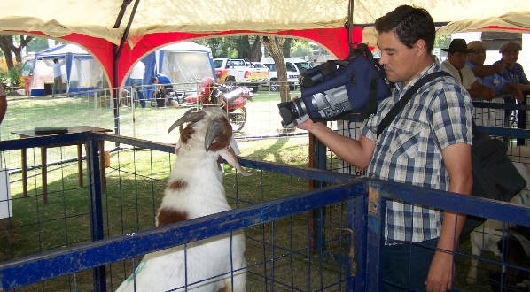 2ª Exposición y remate caprino
