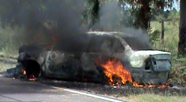 Esquivó una iguana, chocó una palmera y se incendió el auto