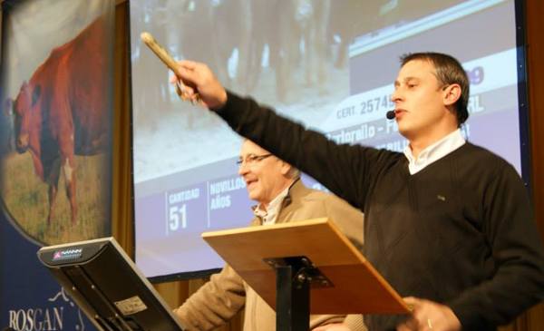 Terneros machos y hembras superaron la media