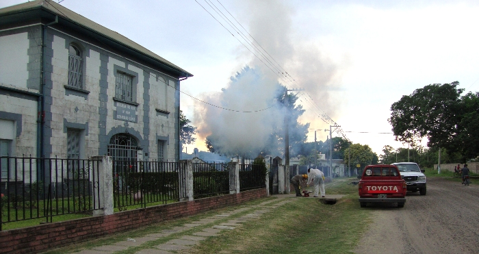 Acciones contra el dengue