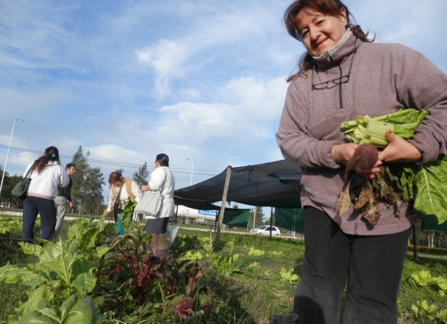 Feria de emprendedores