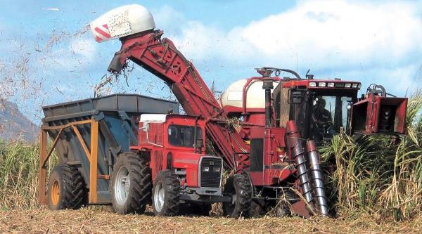 Pedido de ayuda a nación para la cuenca cañera
