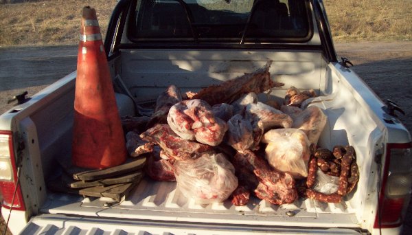 Abigeato en Villa Ocampo