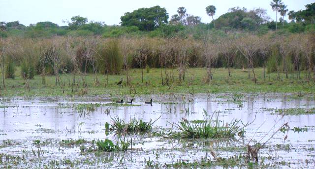 Primera Ley de Humedales en Argentina