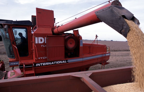 Baja rentabilidad de la soja