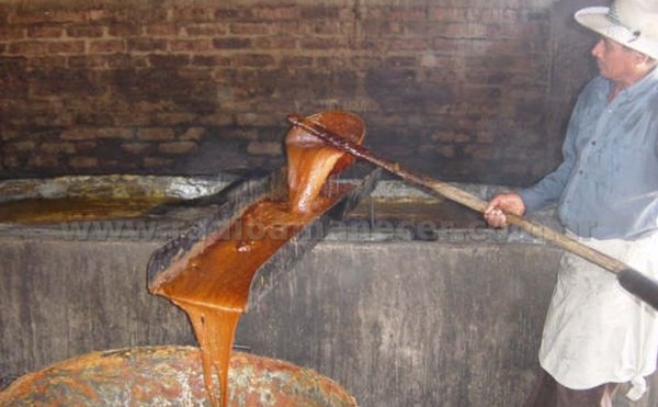 Crean cooperativa para elaborar Miel de Caña