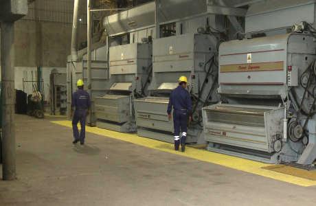 Campaña algodonera 2014