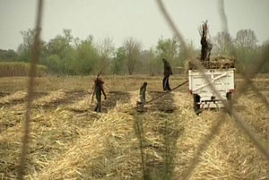 Reclaman un salario unificado