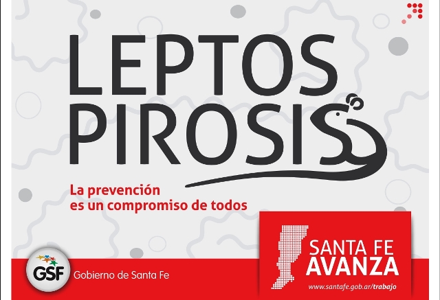 Casos sospechosos de leptospirosis