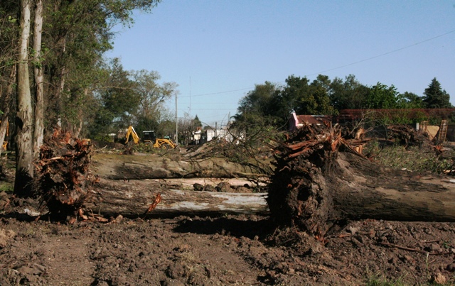 Comenzaron los trabajos para pavimentar calle Mitre desde Ruta 11