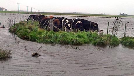 Preocupación ante las graves inundaciones
