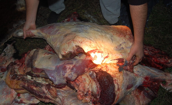 Secuestran carne y armas de fuego