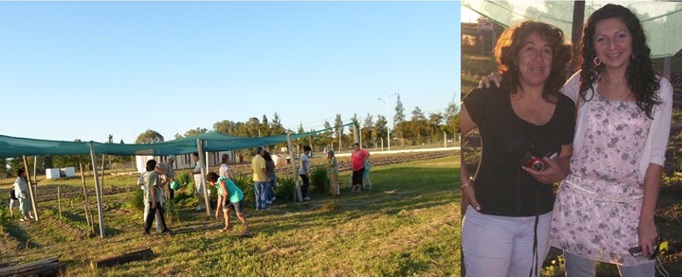 Cultivo de Hierbas Aromáticas y Medicinales Huerta