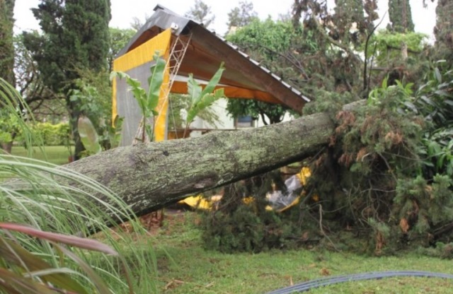 La tormenta hizo destrozos