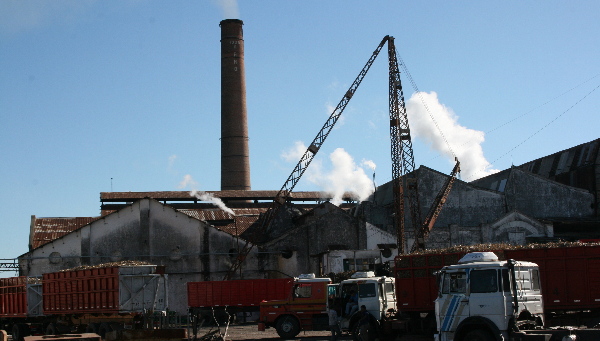 30 kilos de azúcar por tonelada