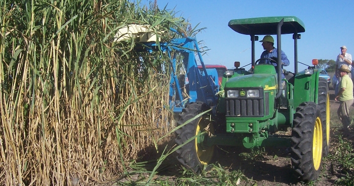 Premio a la cosechadora de Caña