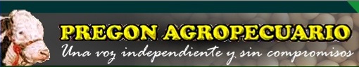Argentina cada vez más agroindependiente