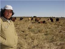 Pastoreo Rotativo intensivo